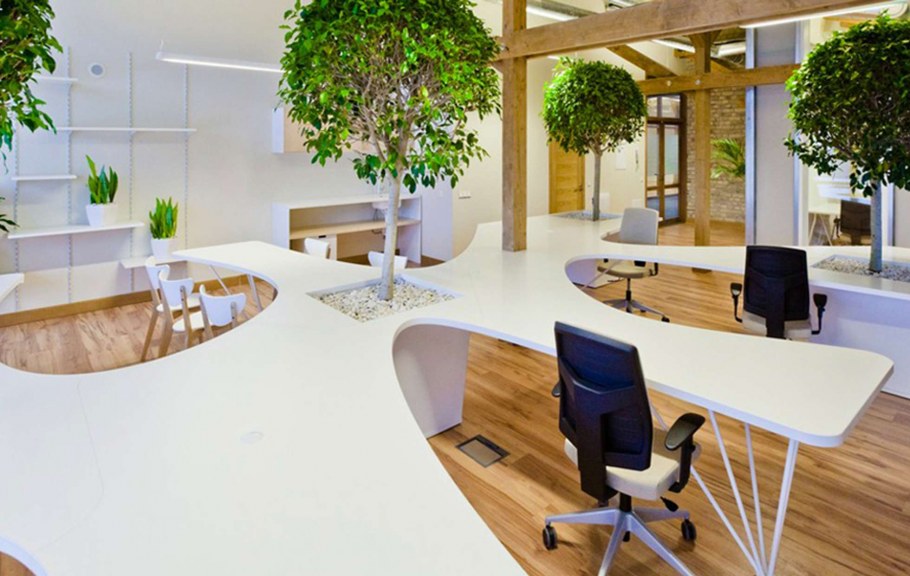 Биофилик (Biophilic) дизайн