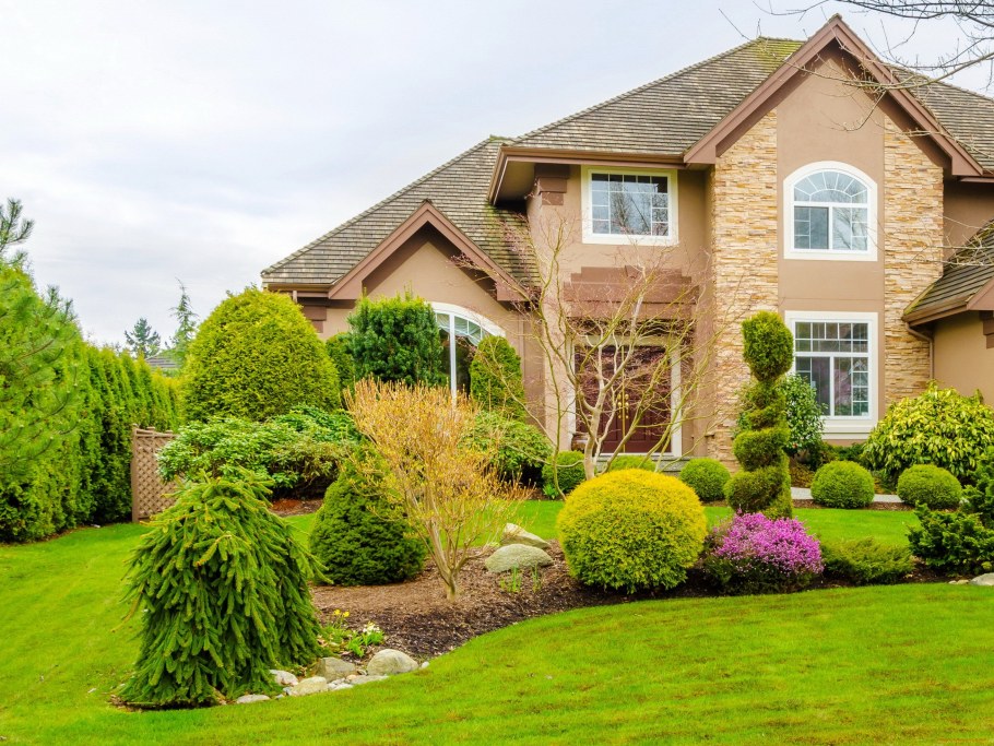 Ландшафт дачного участка