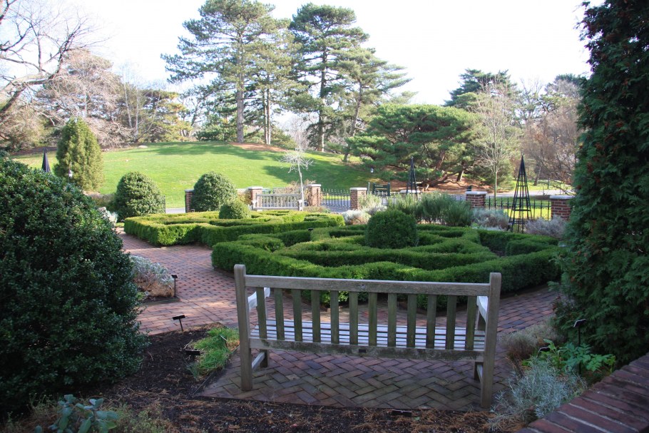 Вернония Нью-Йоркская в ландшафтном дизайне