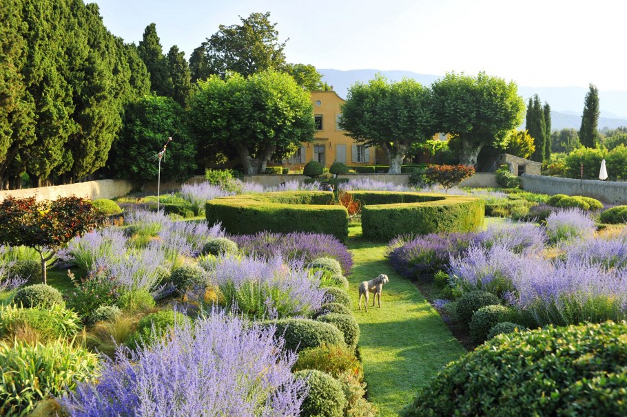 Самшит английский сад Мюнхен