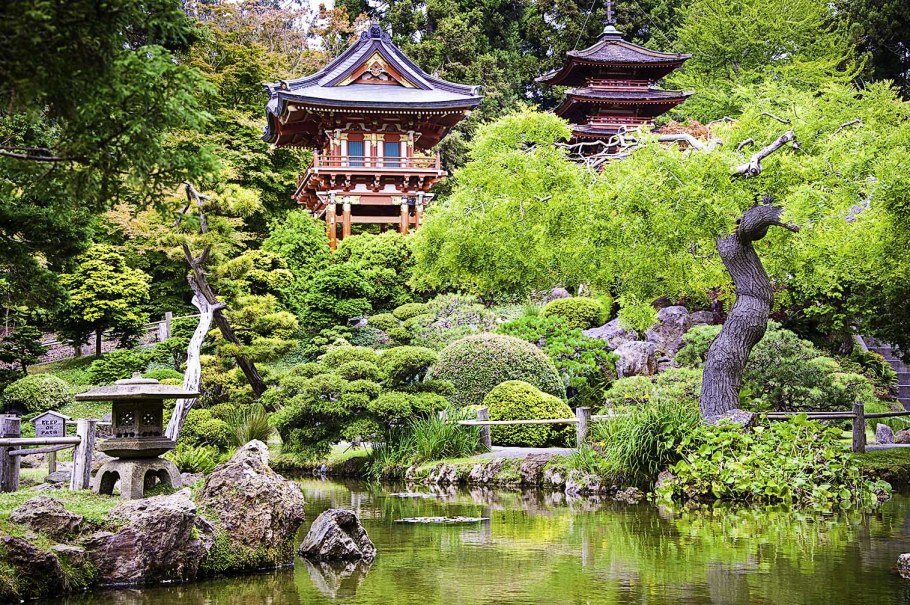 Японский чайный сад Golden Gate Park