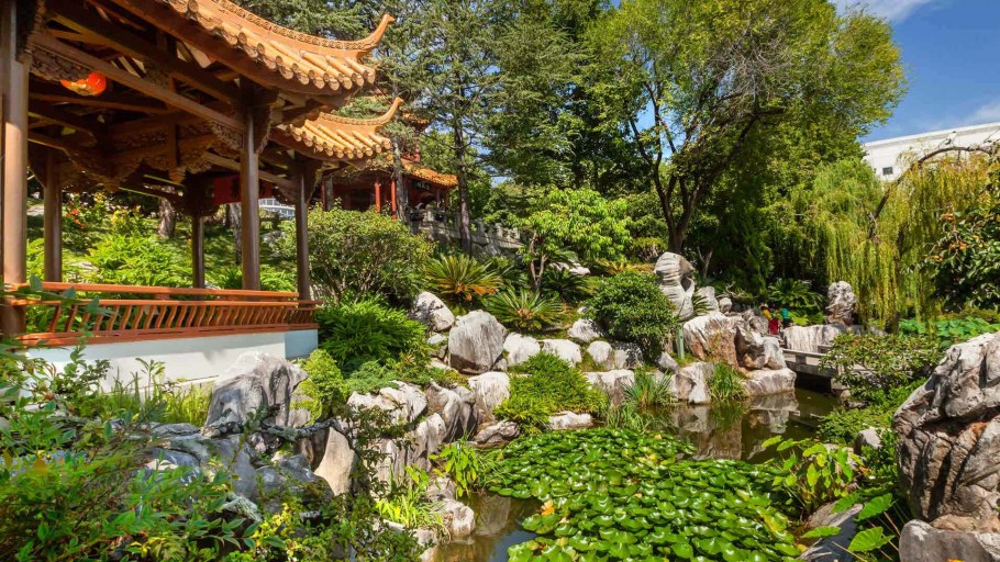 Парк «китайский сад дружбы»