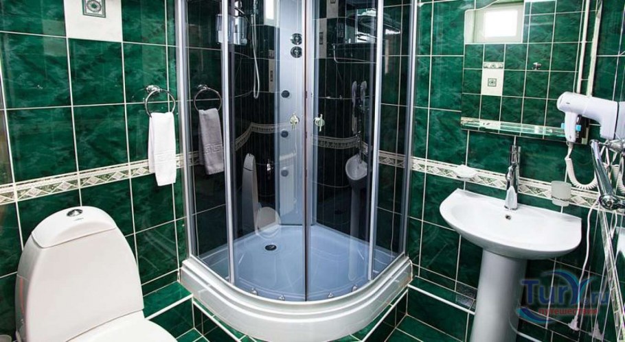 Душевая кабинка и туалет вместе