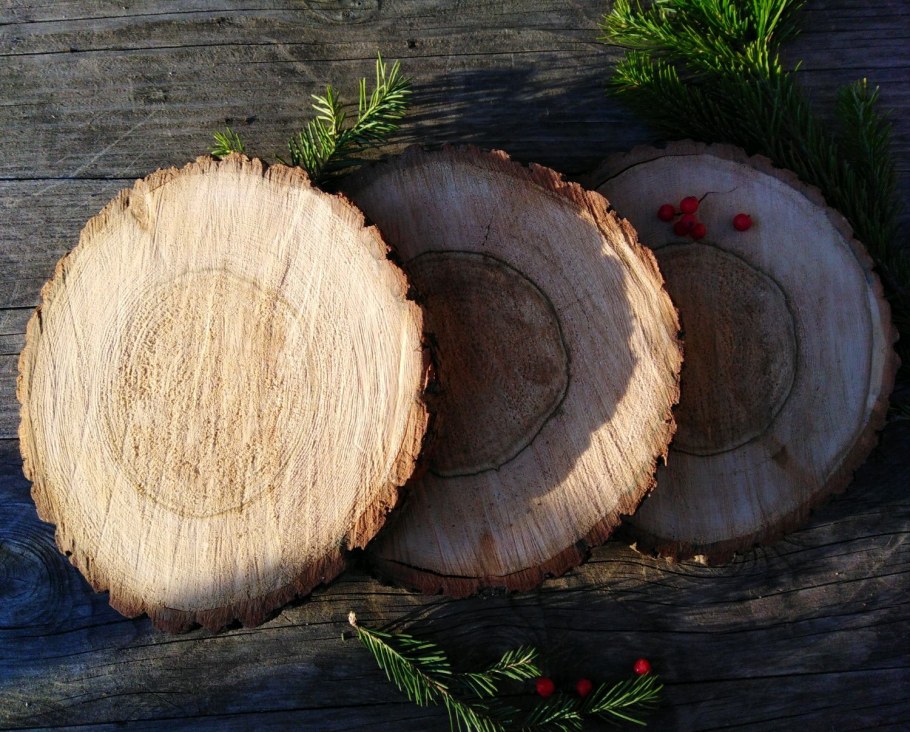 Декор стены из спилов дерева