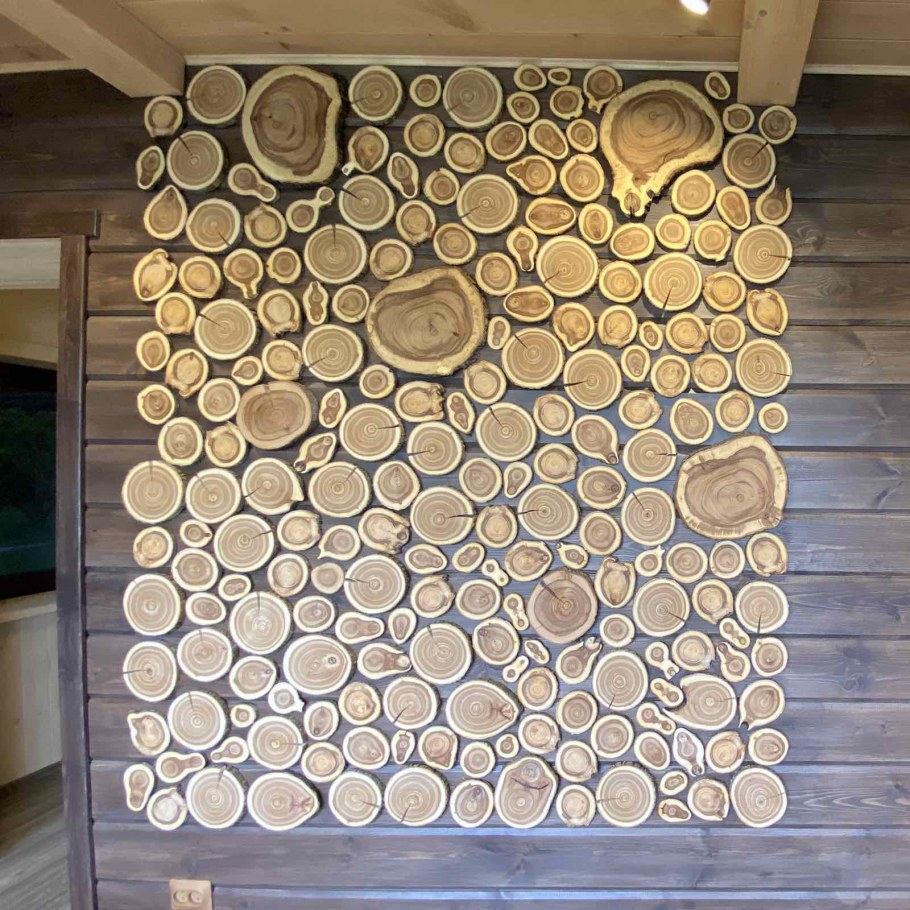 Спилы дерева для декора