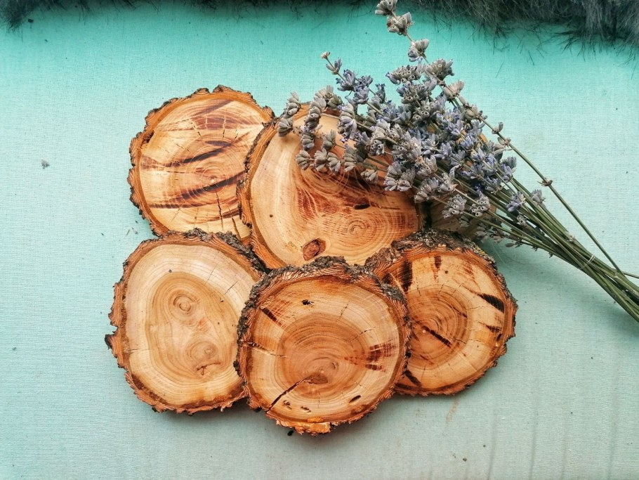 Спилы разных пород дерева