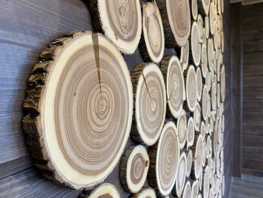 Панно из спилов дерева