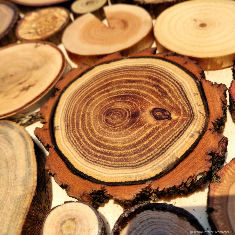 Деревянный спил