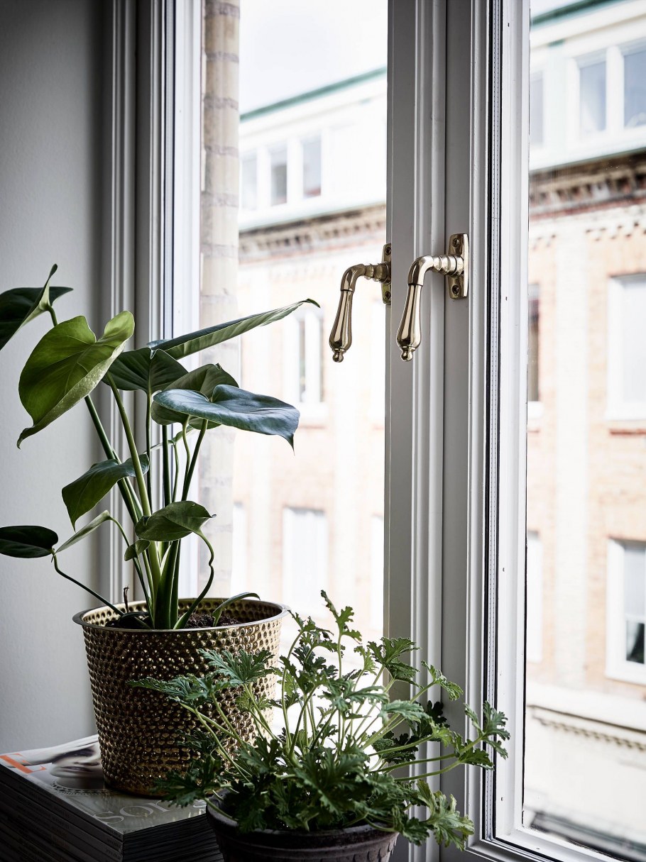 Windowsill Apartment