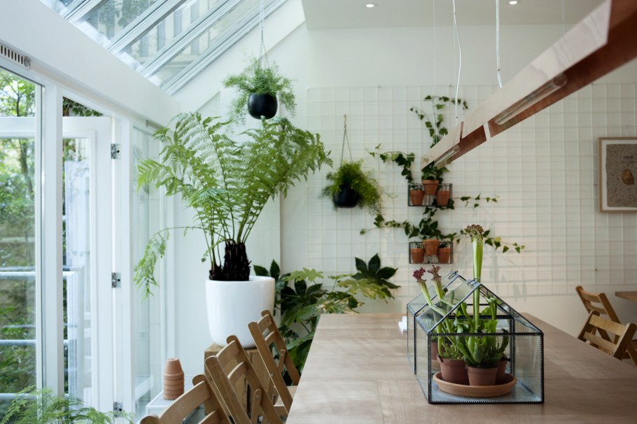 Цветочный уголок в доме