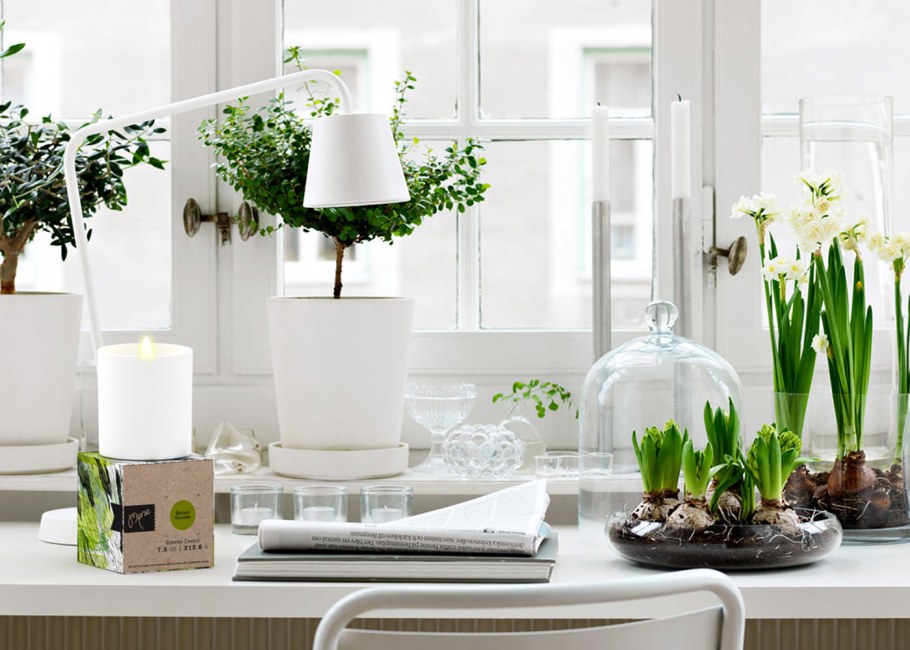 Цветы на подоконнике