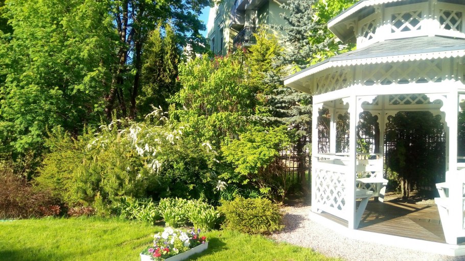 Беседка в лесу