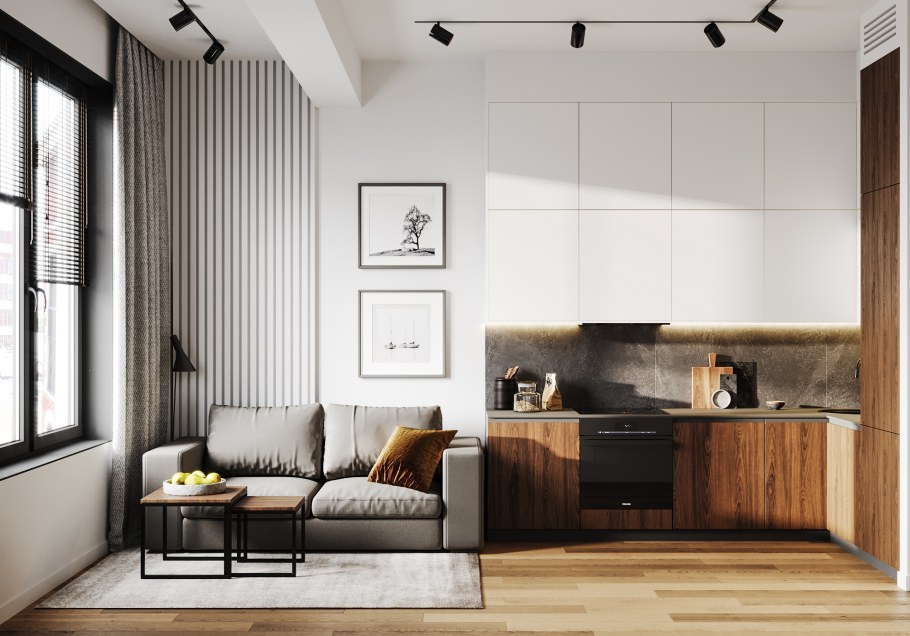 Дизайн проект однушки Кутузов град 2