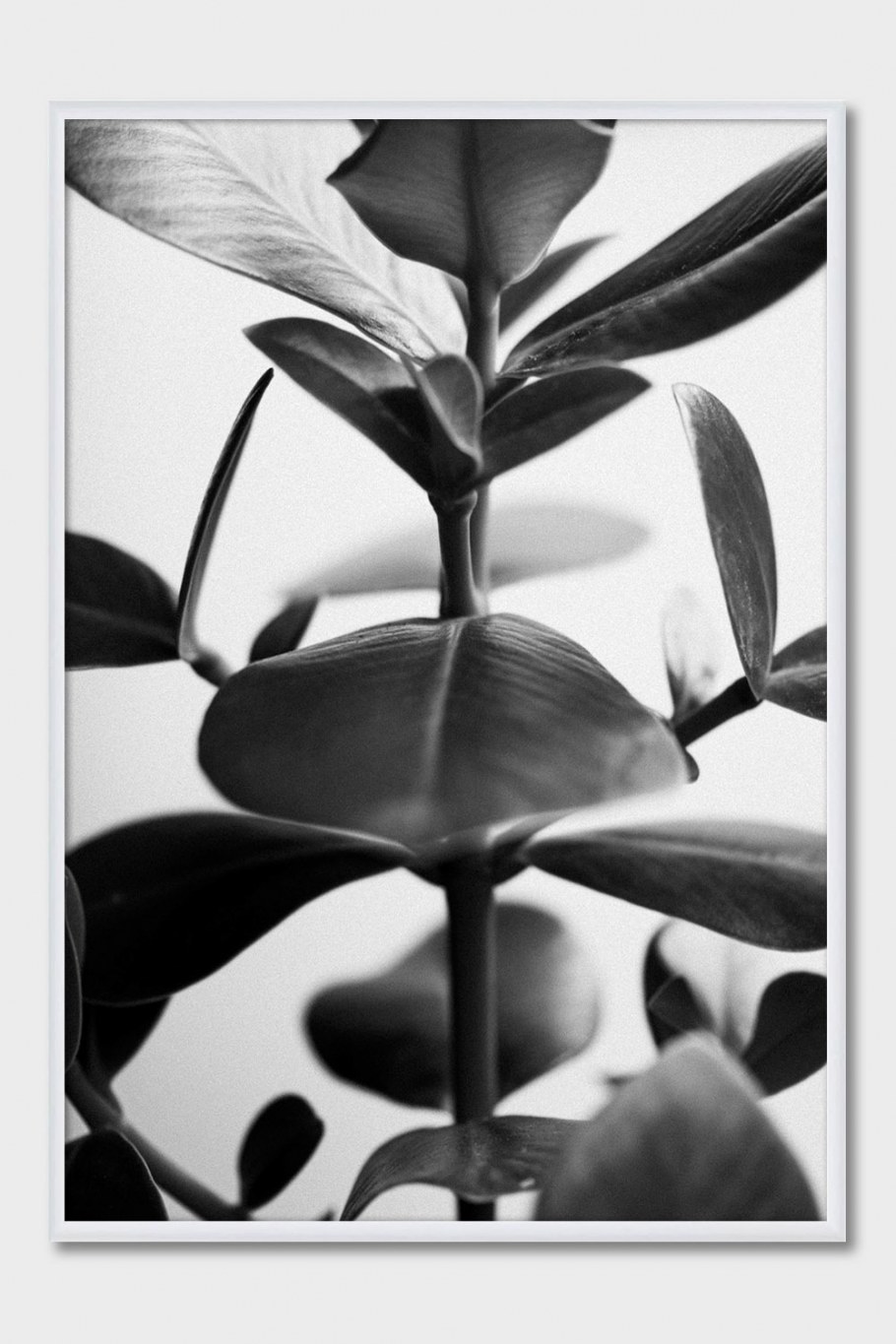 Картина в раме с паспарту