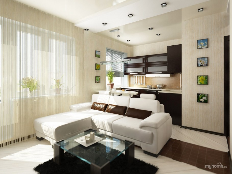 Зонирование кухни-гостиной 30 кв.м