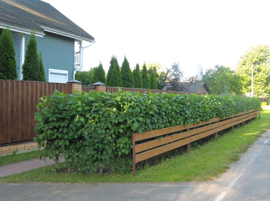 Красивый забор внутри участка