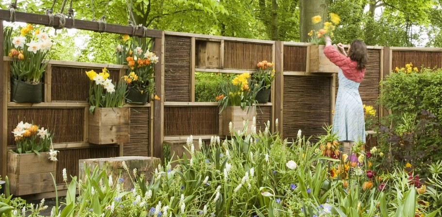 Забор на дачном участке