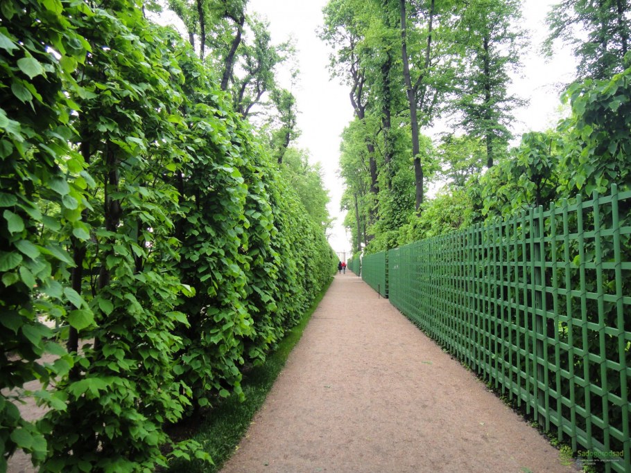 Забор на неровном участке