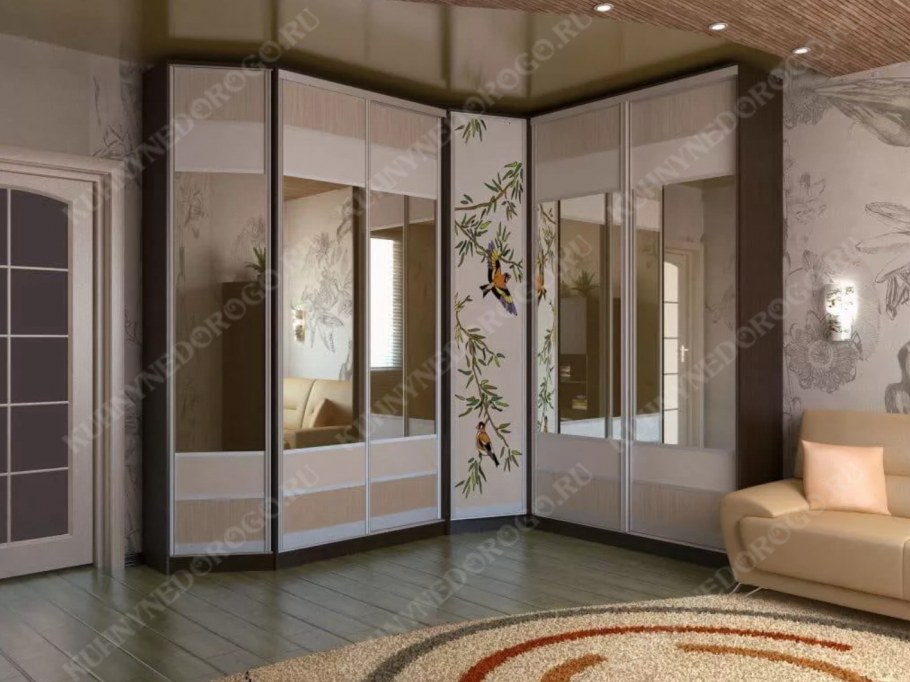 Шкаф-купе Элит 56 Модерн Амадеус Hafele зеркало