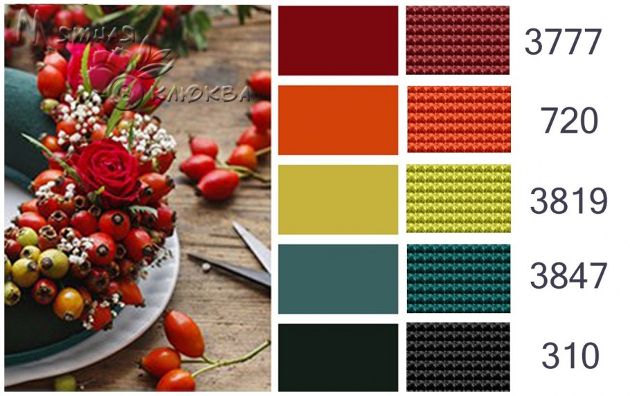 Дискавери колор