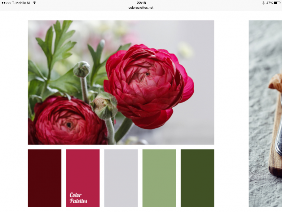 Сочетания цветов Палитры ДМС