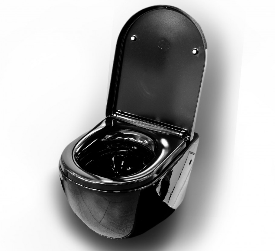 Санузел с черным унитазом