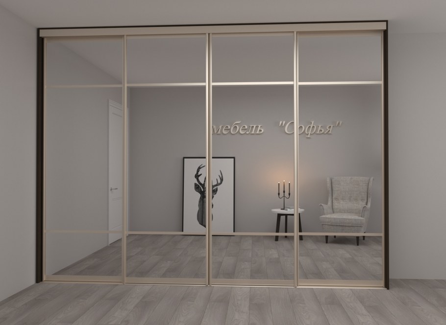 Шкаф-купе Ричард 2300х1600х600 Флитв.бел Деметра