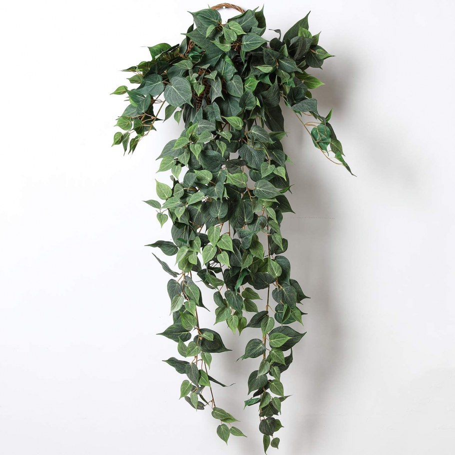 Эпипремнум на кухне