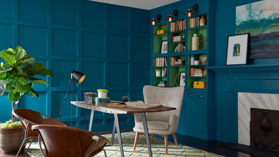 Шервин Вильямс sw6224