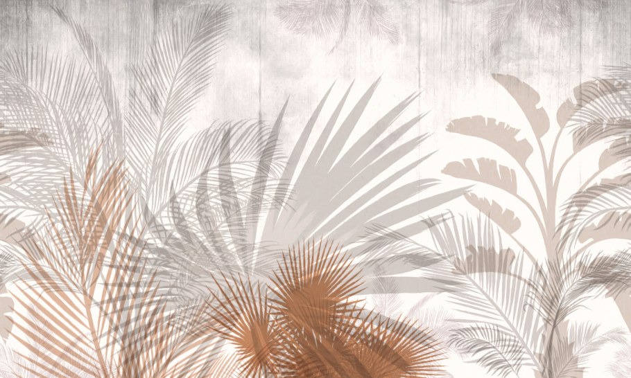 Афреска пальмы растения