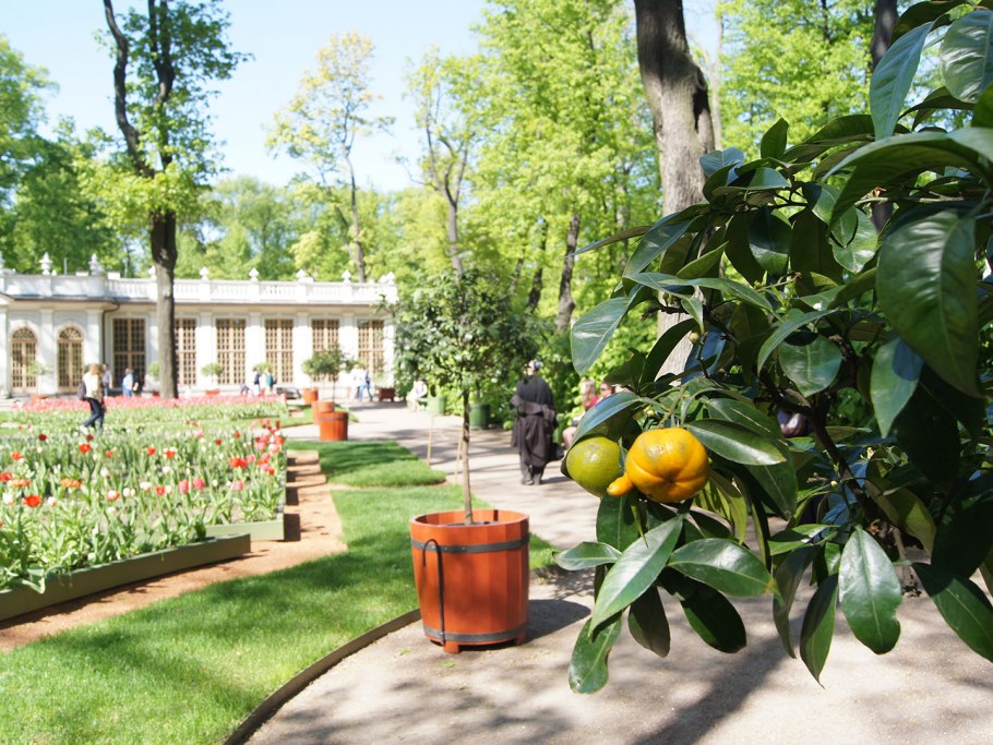 Палисад Франция сады