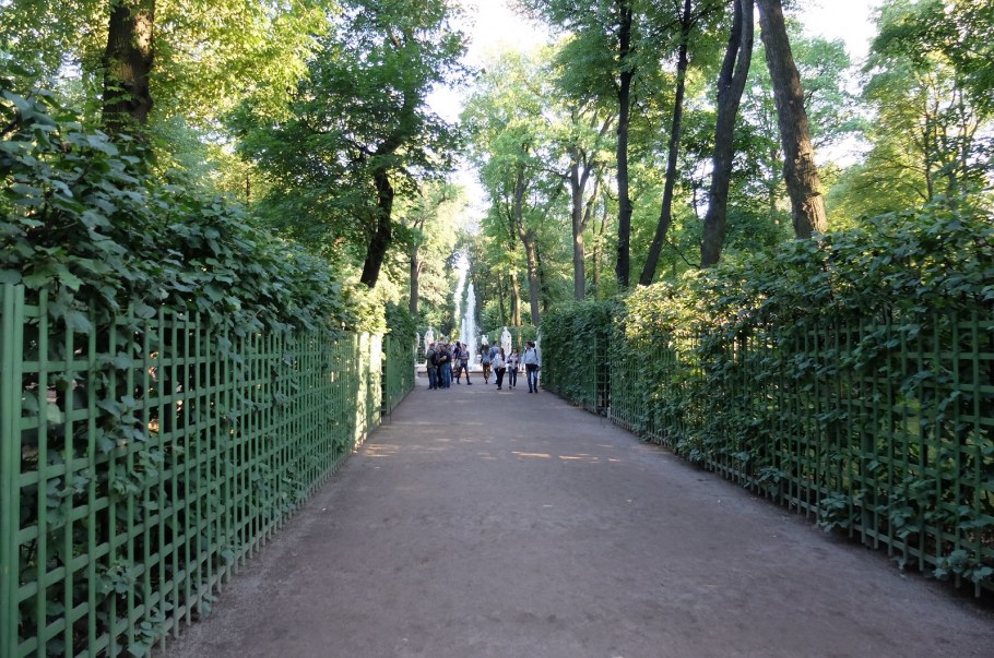 Летний сад 1704