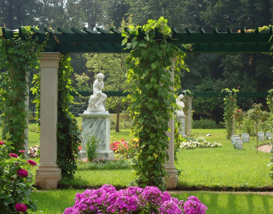 Цветник на приусадебном участке