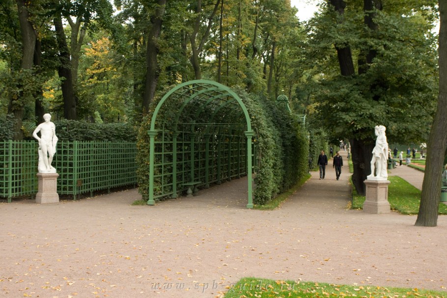 Красивый ухоженный сад