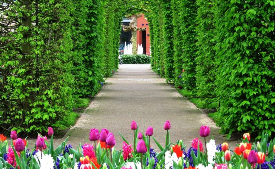 Екатерининский парк боскеты