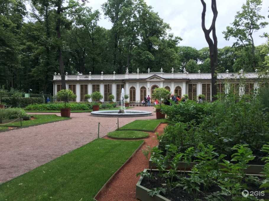 Сад Алиса в стране чудес ландшафтный дизайн