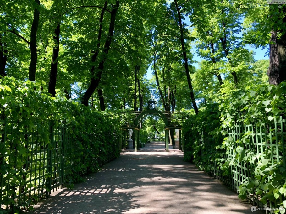 Берсо в летнем саду