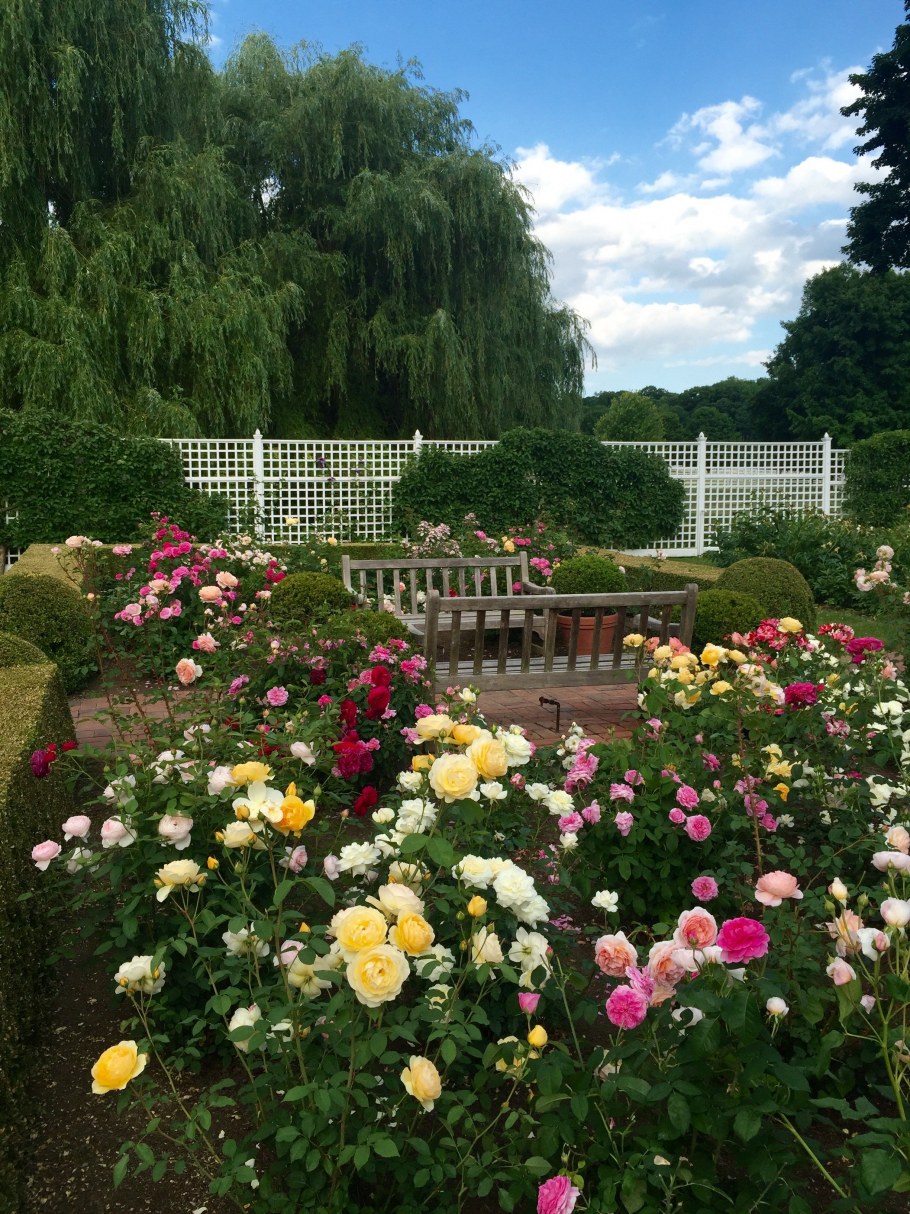 «Зимний сад» оранжерея Пэкстон