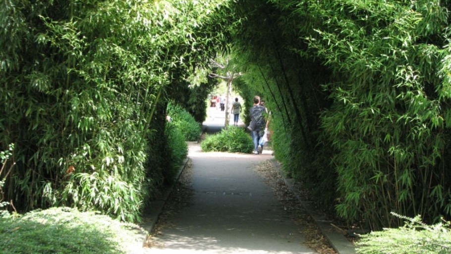 Coulee verte Paris