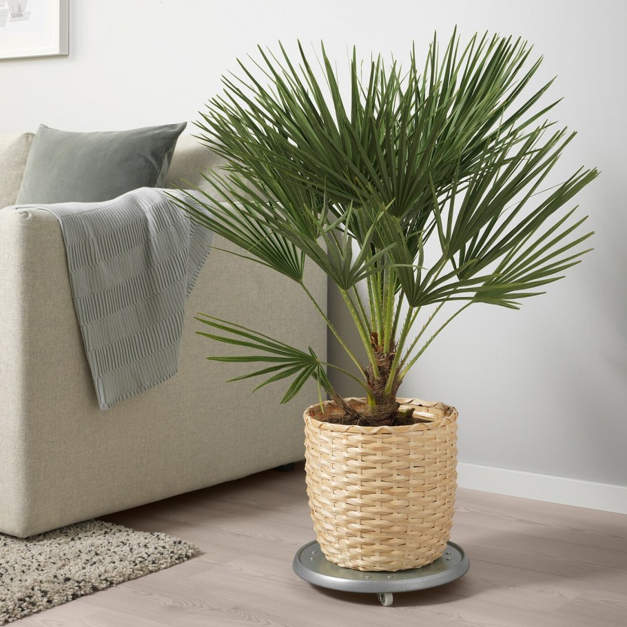 Кашпо бамбук икеа