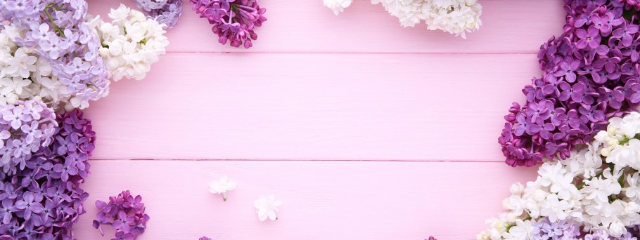 Фиолетовые обои для стен