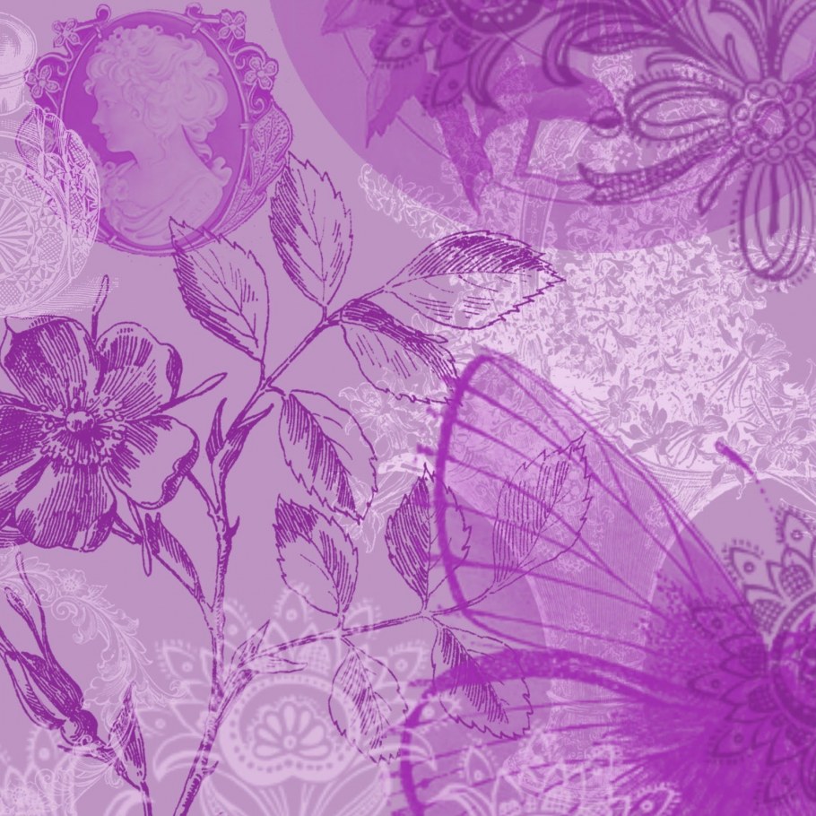 Гортензия Otaksa