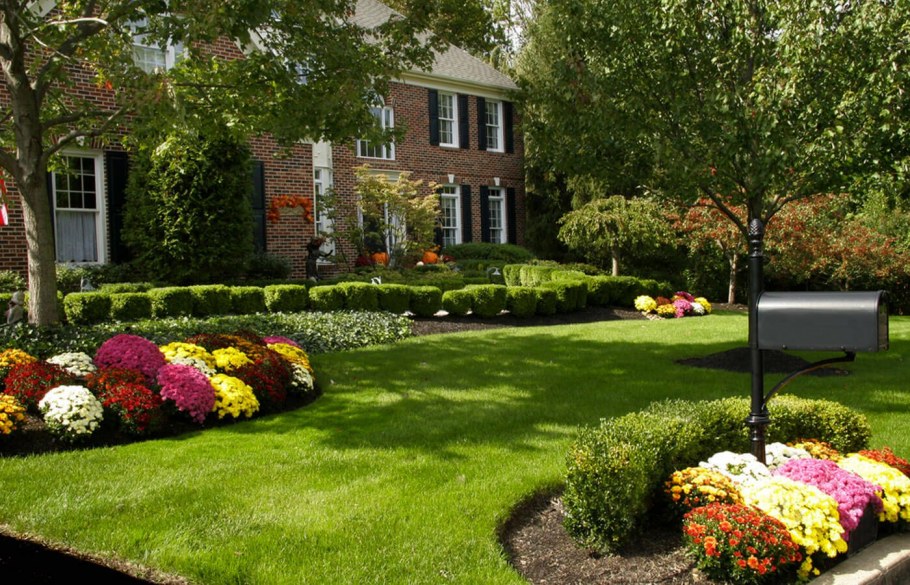 Озеленение участка