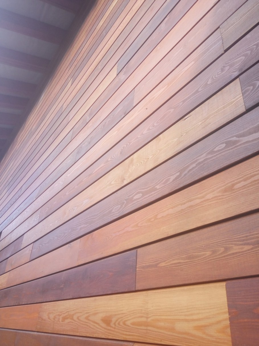 Планкен лиственница