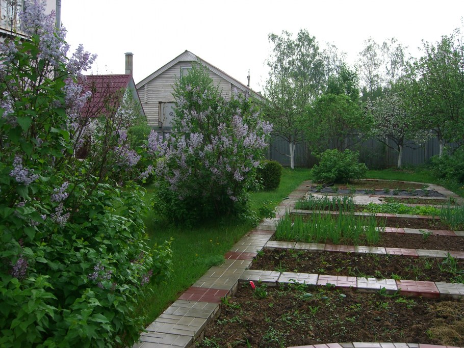 Планировка сада и огорода