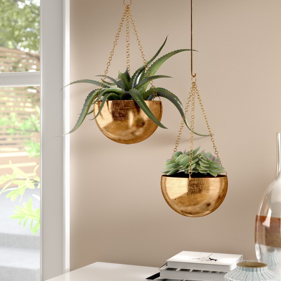 Подвесные растения в круге