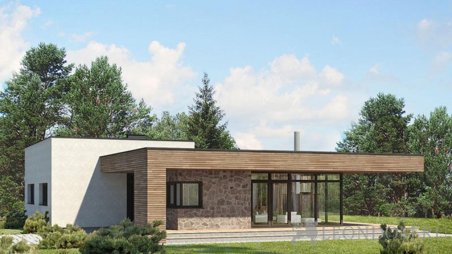 Одноэтажный дом с плоской крышей и террасой