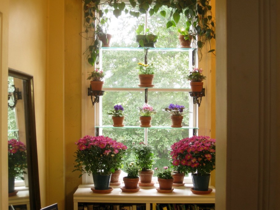 Украсить подоконник цветами