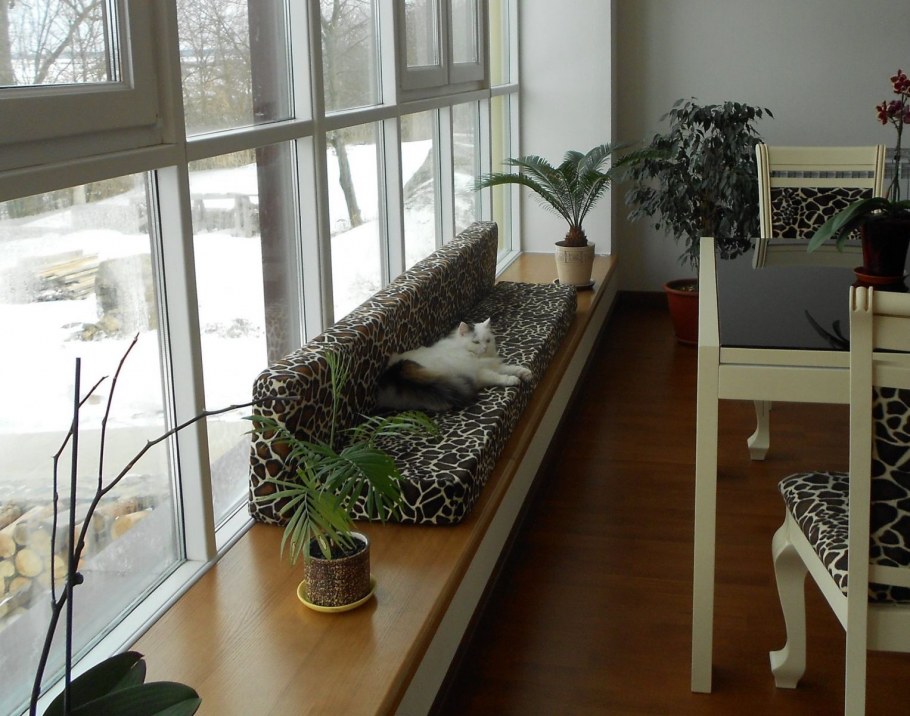 Цветы на подоконнике