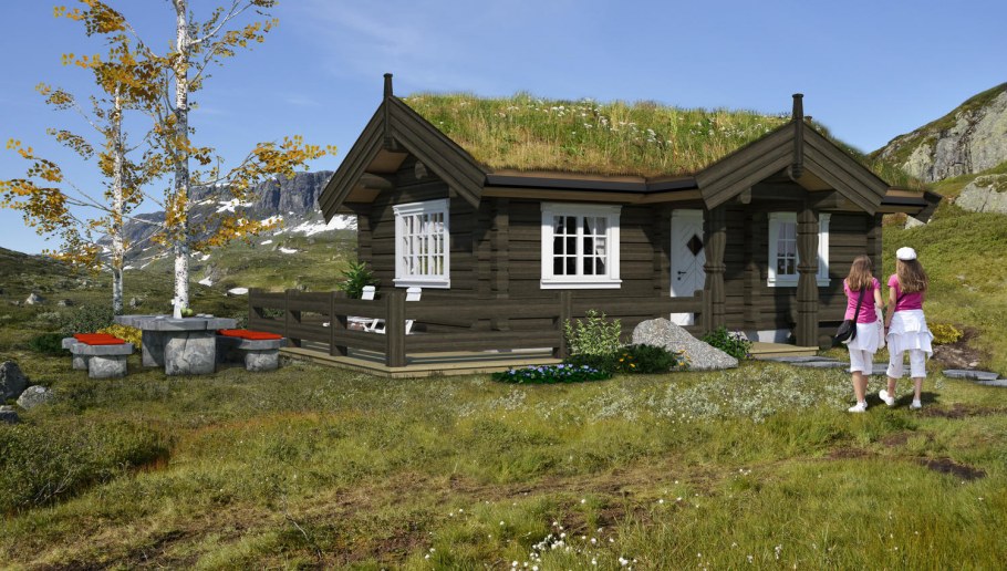 Норвежский дом ставлафт